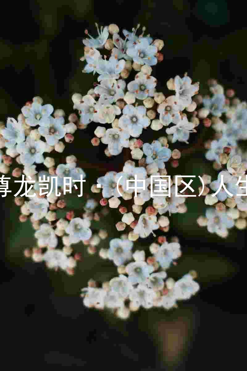 尊龙凯时·(中国区)人生