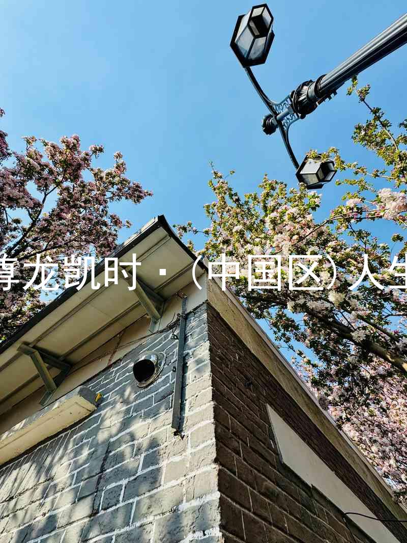 尊龙凯时·(中国区)人生